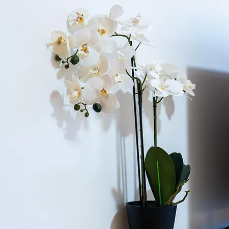 Jana - Vucko * Jahorina